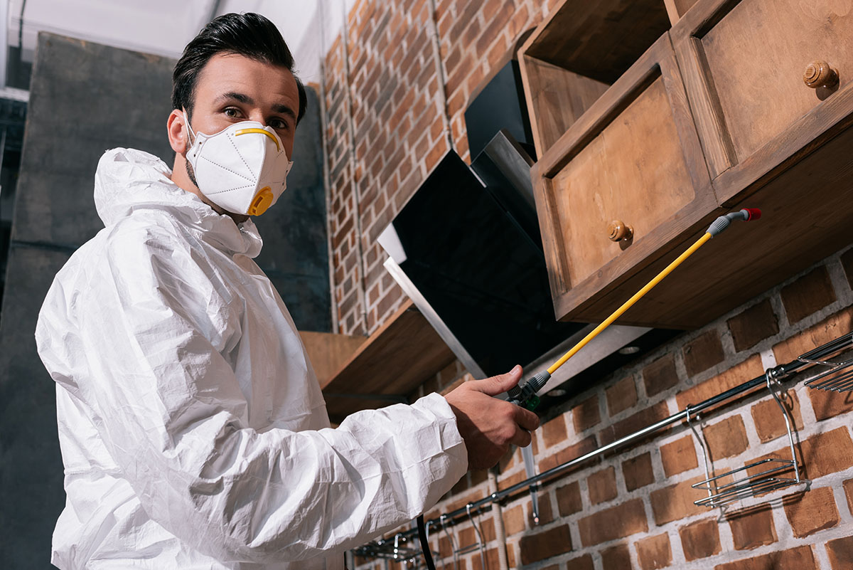 Professionnel de désinfection en action - Services de désinfection Nocibilis