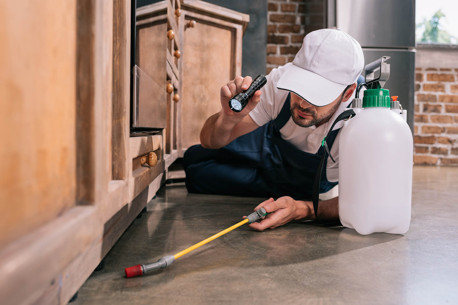 Professionnel de désinfection en action - Services de désinfection Nocibilis