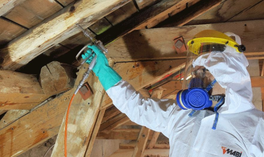 Pourquoi les traitements de charpentes sont essentiels ?