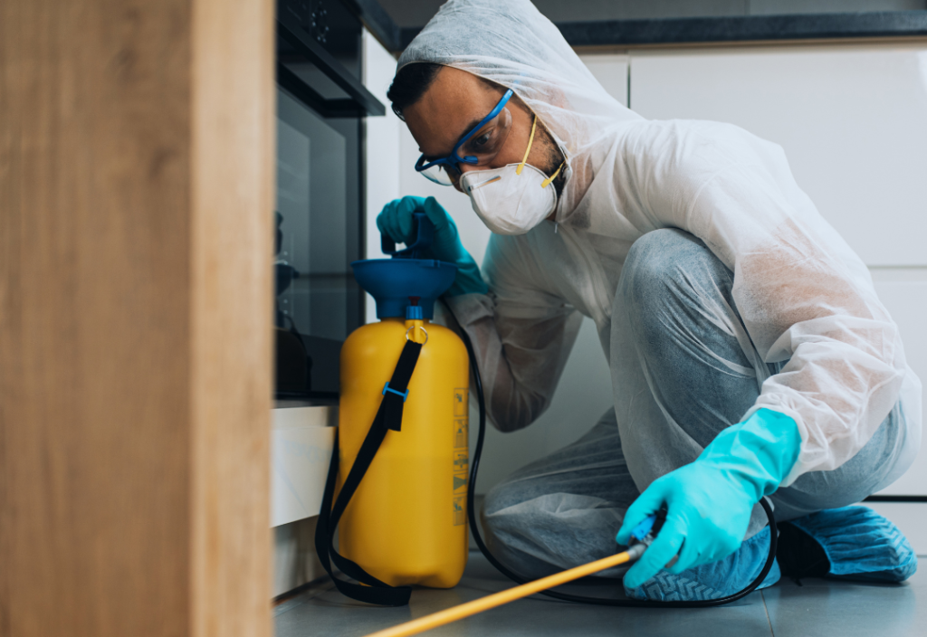 Les droits des locataires suisses en cas d’infestation