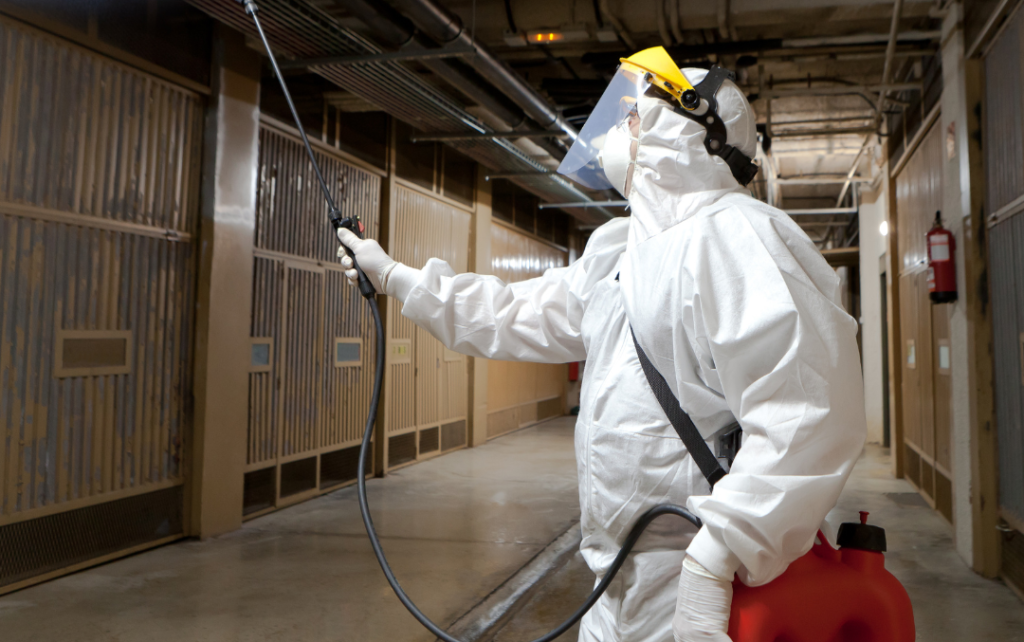 Pourquoi le contrôle des nuisibles est essentiel pour la santé publique ?